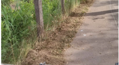 Intervento di taglio dell'erba presso le marine del Comune di Ugento. Torre M...