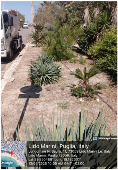 Intervento di taglio dell'erba presso le marine del Comune di Ugento. Lido Ma...