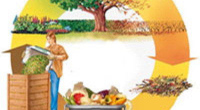 REGOLAMENTO COMUNALE SUL COMPOSTAGGIO DOMESTICO e MODULISTICA