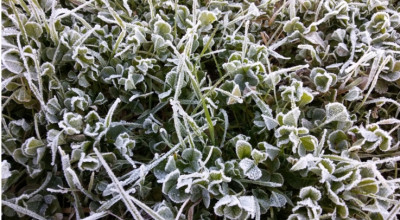  DECLARATORIA DEL CARATTERE DI ECCEZIONALIT&Agrave; DEGLI EVENTI ATMOSFERICI ...