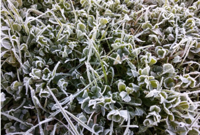  DECLARATORIA DEL CARATTERE DI ECCEZIONALIT&Agrave; DEGLI EVENTI ATMOSFERICI ...